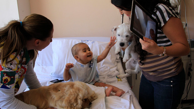 Ecuador-therapy-dogs-ap-2col.jpg